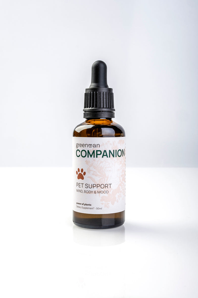 Companion