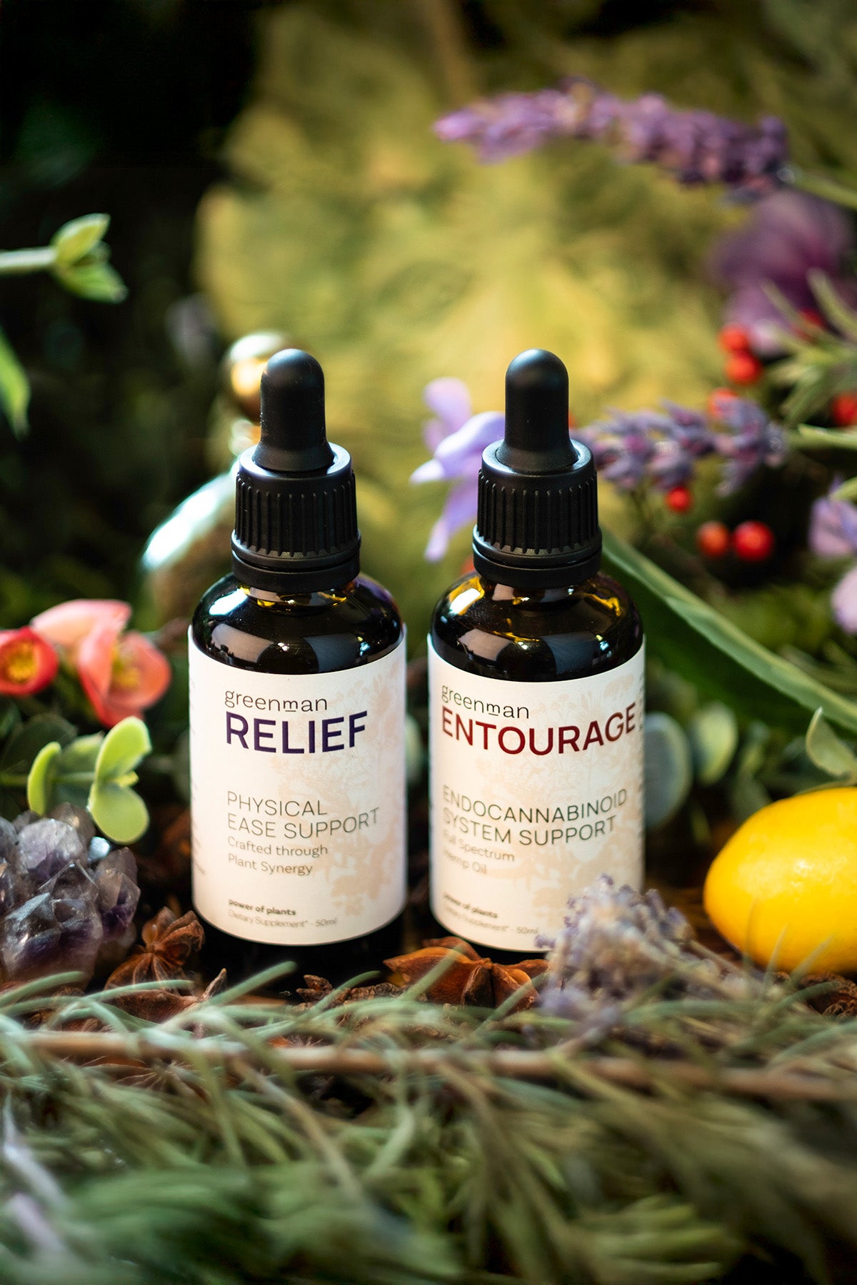 Recovery Bundle