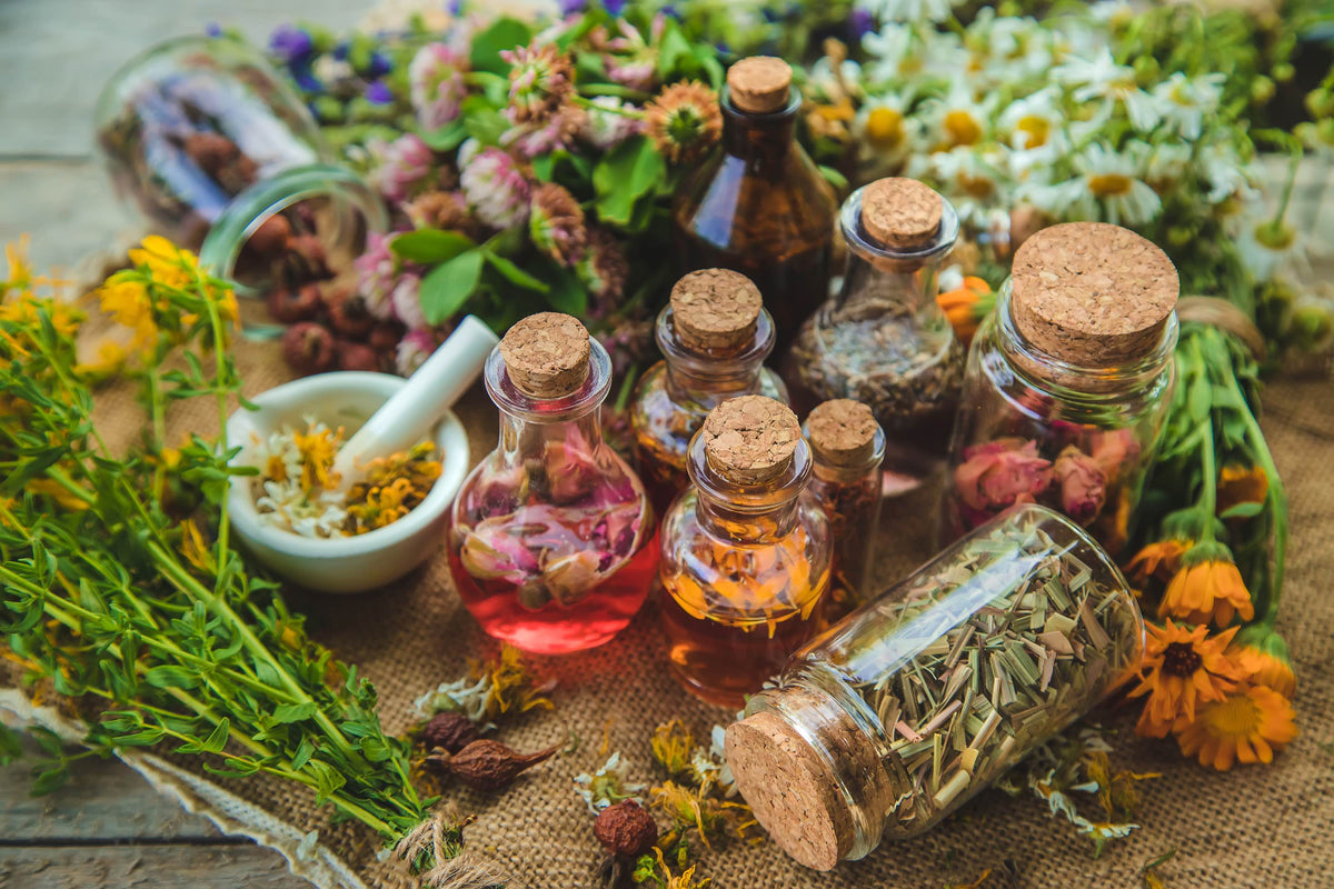 Glass bottles of botanical extracts among dried herbs and flowers